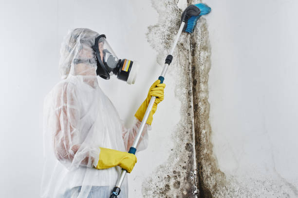 Best Mold Testing and Inspection Services in Millersport, OH