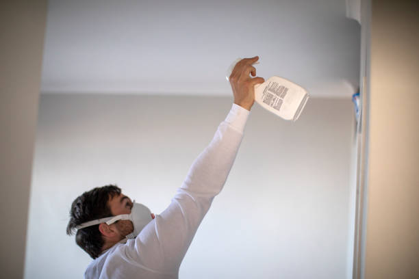 Best Residential Mold Remediation in Millersport, OH