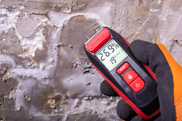 Professional Mold Remediation in Millersport, OH