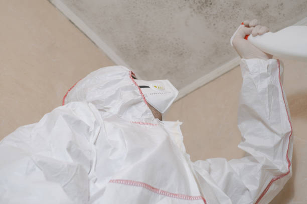 Best Residential Mold Remediation in Millersport, OH