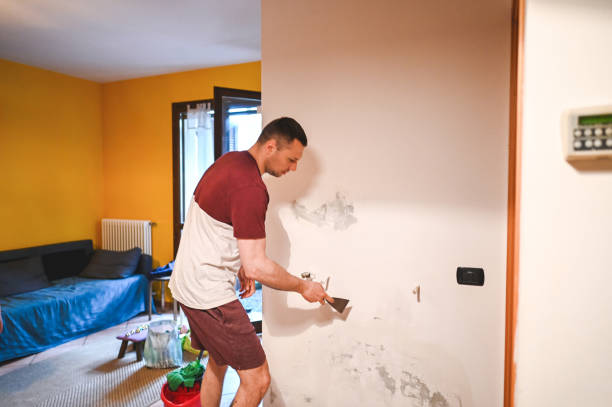 Best Mold Remediation for Schools in Millersport, OH